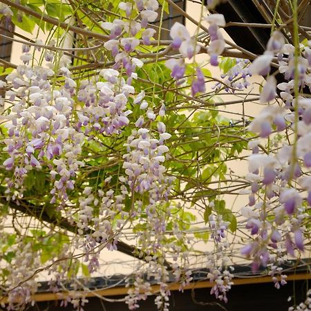 레케나 Casa Lucia 빌라 외부 사진