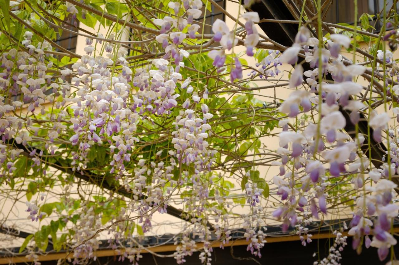 레케나 Casa Lucia 빌라 외부 사진